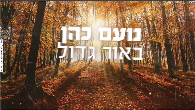 תמונה