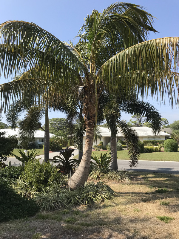 EAC09F14-C563-4247-AF55-27F86E899A27