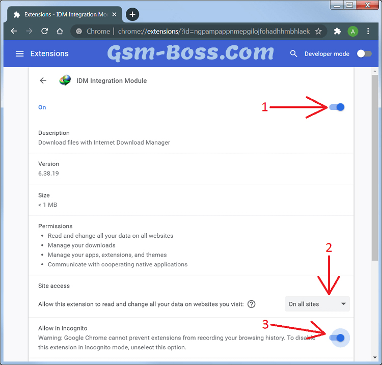 Internet-Download-Manager-Extentions-2.jpg
