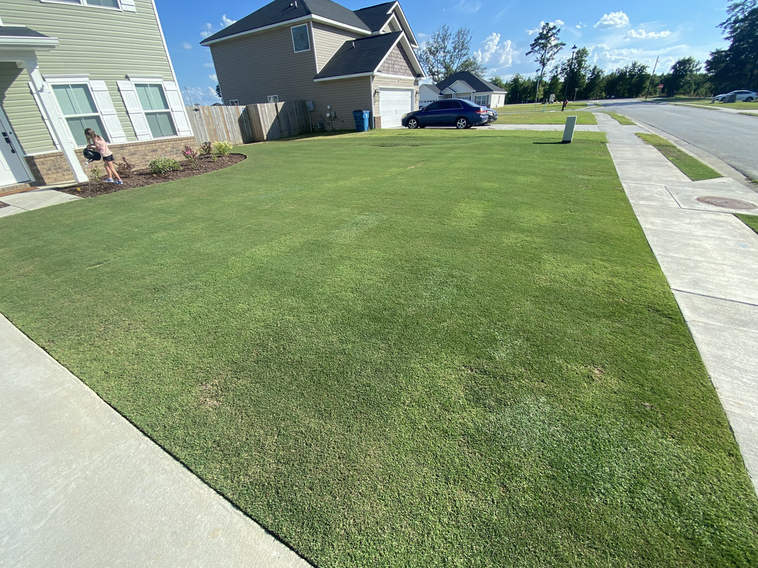 BDD489BD-E7B5-4C27-B37B-1047D7145CBD