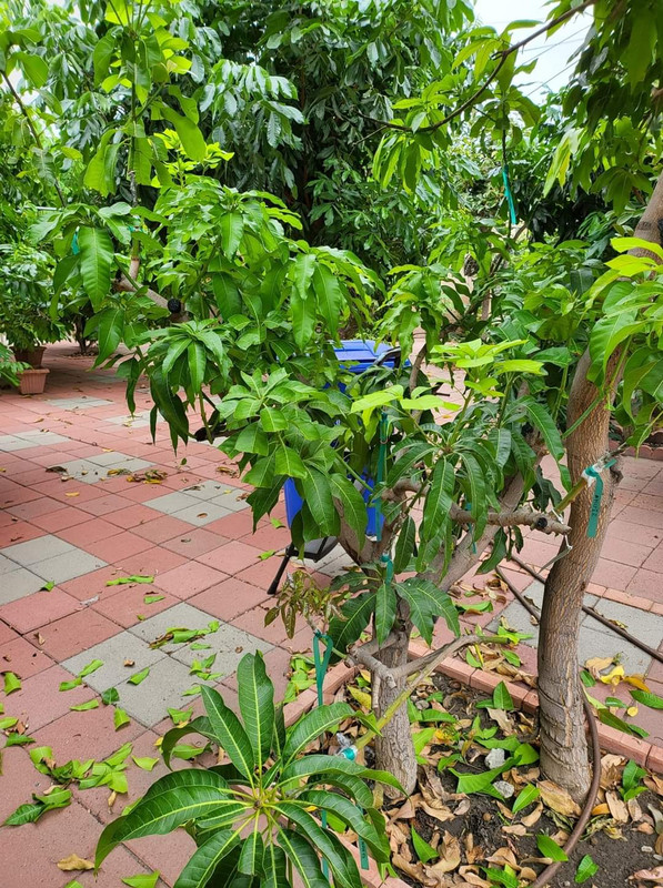 FB_IMG_1691903379954