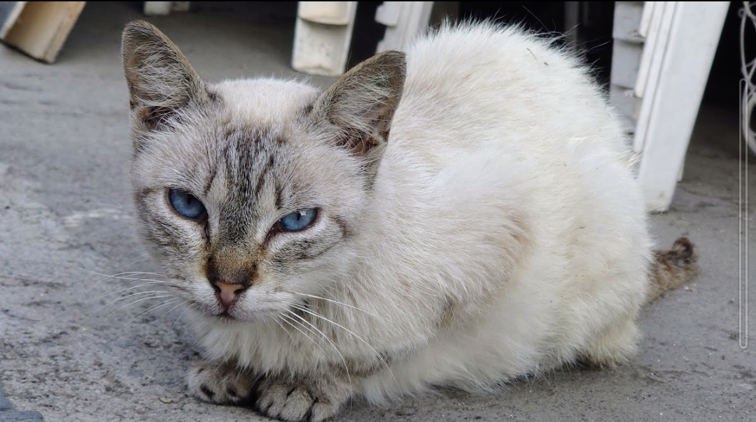 Screenshot_20220713-115113~2