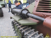 IMG-8038