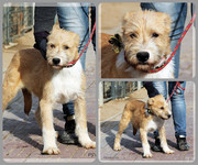 Be-Funky-collage-16.jpg&key=d03735e33f08