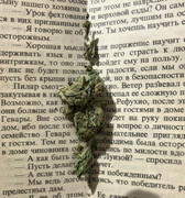 F9C70EAF-BDE1-4461-B174-AD7AB38B774F