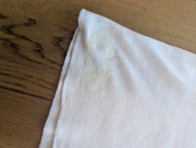 PXL_20250811_161000339.MP