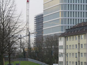 IMG-0113