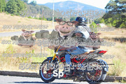 IMG-2561
