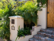 Tropical Front Garden