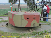 IMG-3633