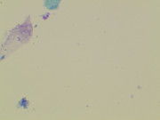 23207 177263 Into CNS 000005