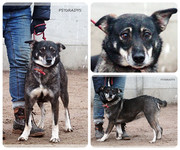 Be-Funky-collage-22.jpg&key=41f07847e9a7