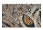 2913247-crosti-ru-color-8