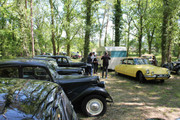 IMG-5003.jpg