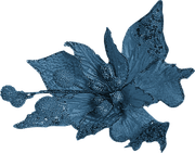 BC-ATaste-Of-Winter-El-74
