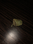 24F1312F-2F2B-4A54-8EF3-9EDB952733CF