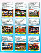 Calciatori-1990-1991-Panini-66