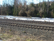 Auf  meine Jog Weg Taucht das Schnee zu letzter