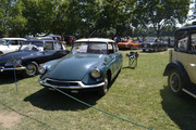 fullsizeoutput-182d.jpg