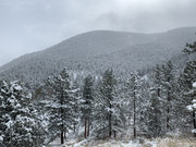 Eric Painter Sugar Land (22)