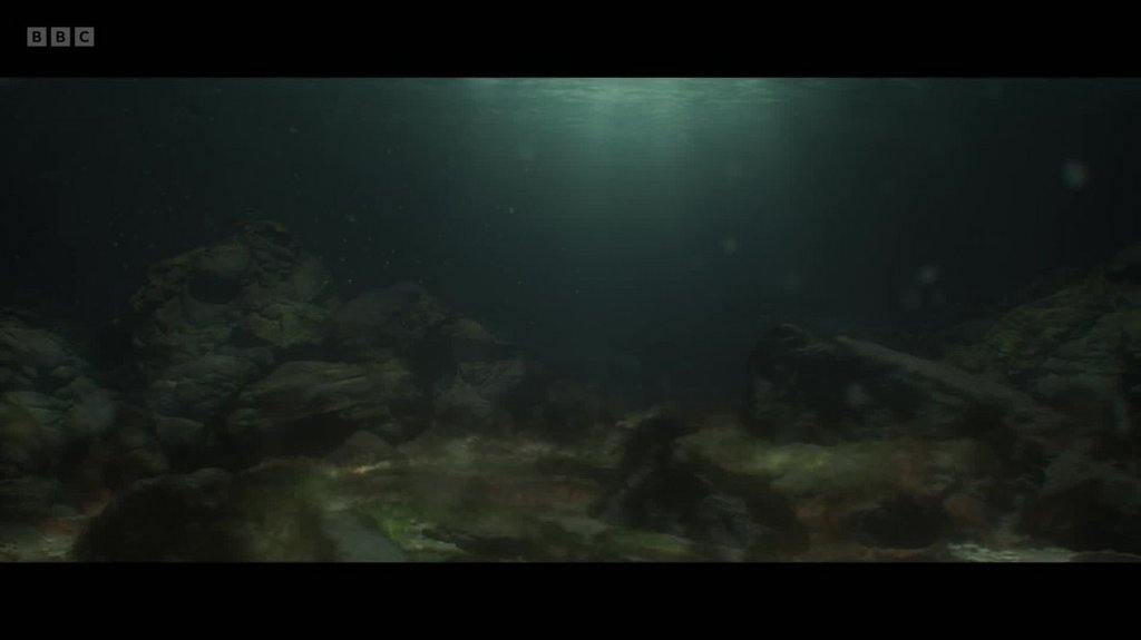 [Image: s5gywua330hu.jpg]