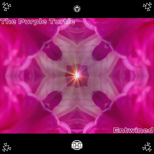 The Purple Turtle - Entwined (2026)
