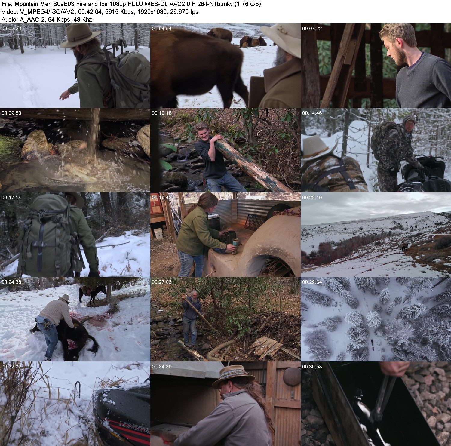 [Image: h2p7zrj17wwb.jpg]