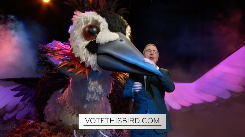 [Image: 4n7kdjvy2c9n.jpg]