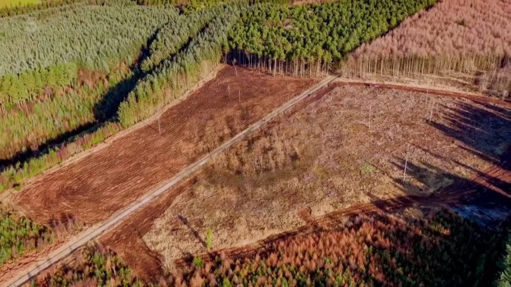 [Image: 2gfc8f4mm5br.jpg]