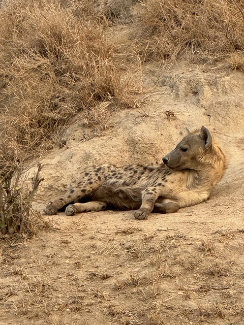 [Linked Image from i.postimg.cc]