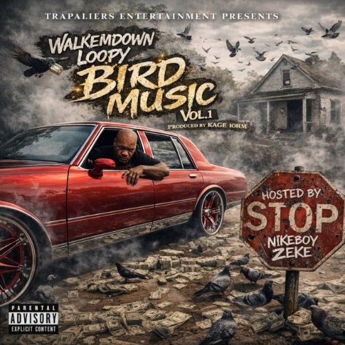 Kage-1ohm-x-Walkemdown-Loopy-Bird-Music-