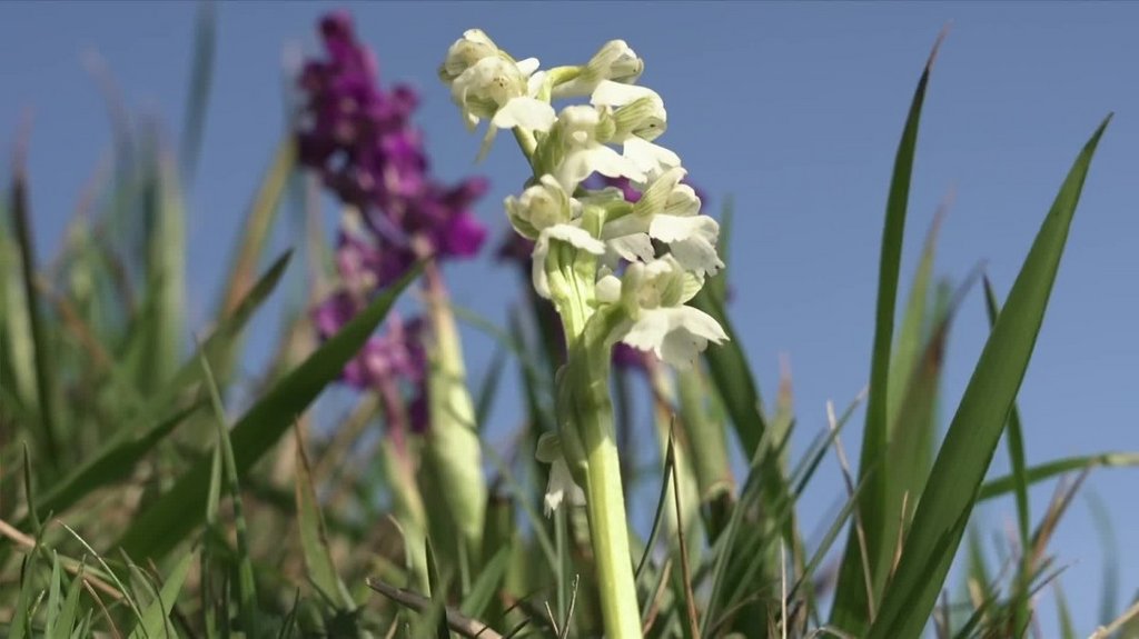 [Image: 3c7t49pvqfdz.jpg]