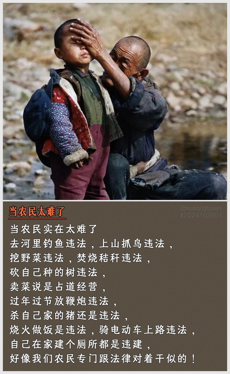 https://i.postimg.cc/rMm1DRDY/2024102801.jpg
