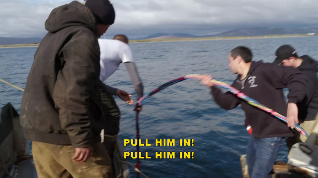 [Image: x9ndn76uo8ap.png]