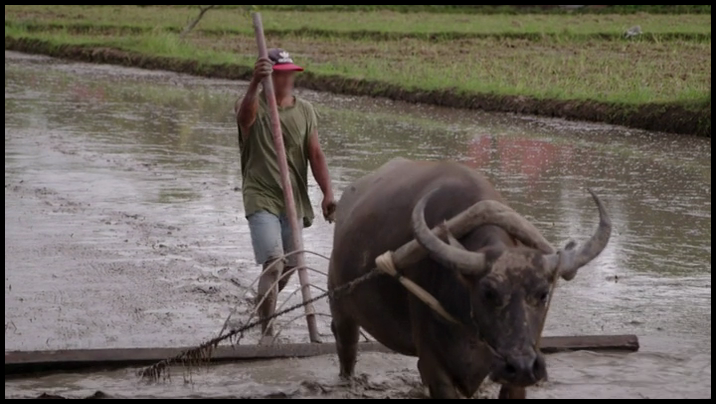 [Image: ne69wrch5v8d.png]