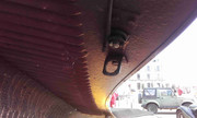20160313-114249.jpg