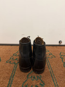 IMG-3316