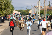 IMG-0407