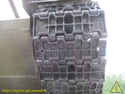 IMG-7440