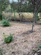 IMG-5552