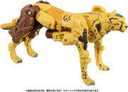 BD-02-Deluxe-Class-Cheetah-6