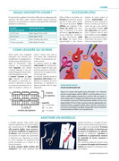 Uncinetto-Indossato-11-Giugno-Luglio-2025-41