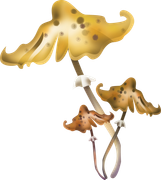 Pumpkinfairykitpudnmushrooms2