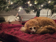 photo-2026-04-04-16-36-24