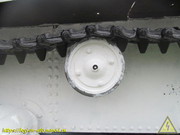 IMG-7797