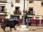 IMG-0019