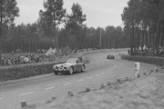 24 HEURES DU MANS YEAR BY YEAR PART ONE 1923-1969 - Page 17 38lm19-AR8-C2300-B-Raymond-Sommer-Clemente-Biondetti-8