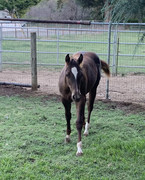 [Image: IMG-4514.jpg]