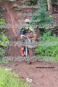 IMG-0462