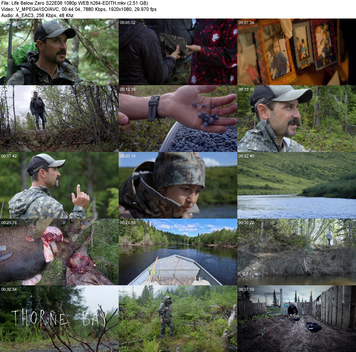 [Image: 9tvyt55c2kgx.jpg]